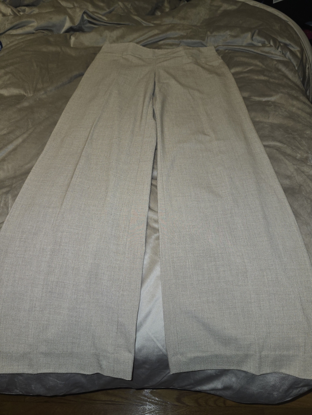 The Limited Wide-Leg Dress Pants in TAN